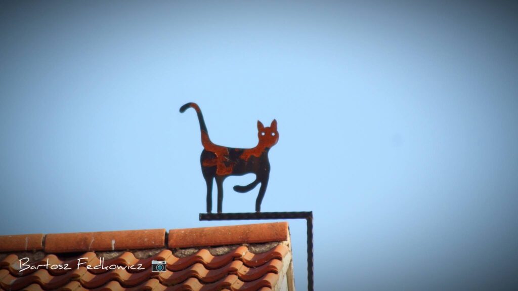 Decorative cat-shaped weather vane silhouetted against the sky above a tiled rooftop in Boston.