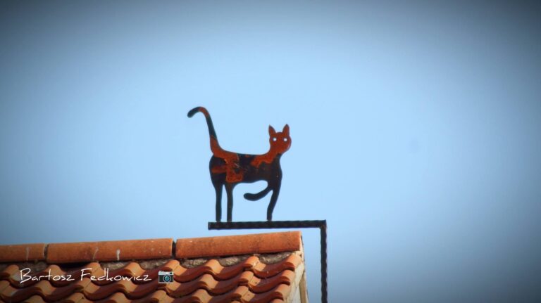 Decorative cat-shaped weather vane silhouetted against the sky above a tiled rooftop in Boston.