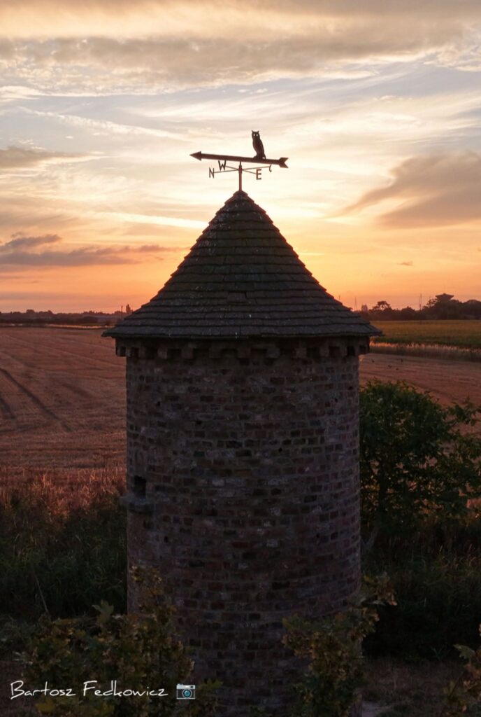 Turret building with a weather vain atop with a sunset behind