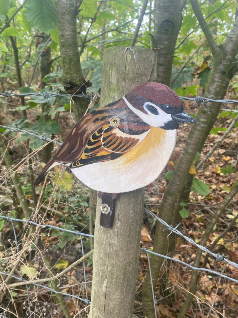 Hand-painted Great Tit waymarker installed beside a wetland path at RSPB Freiston Shore Nature Reserve.