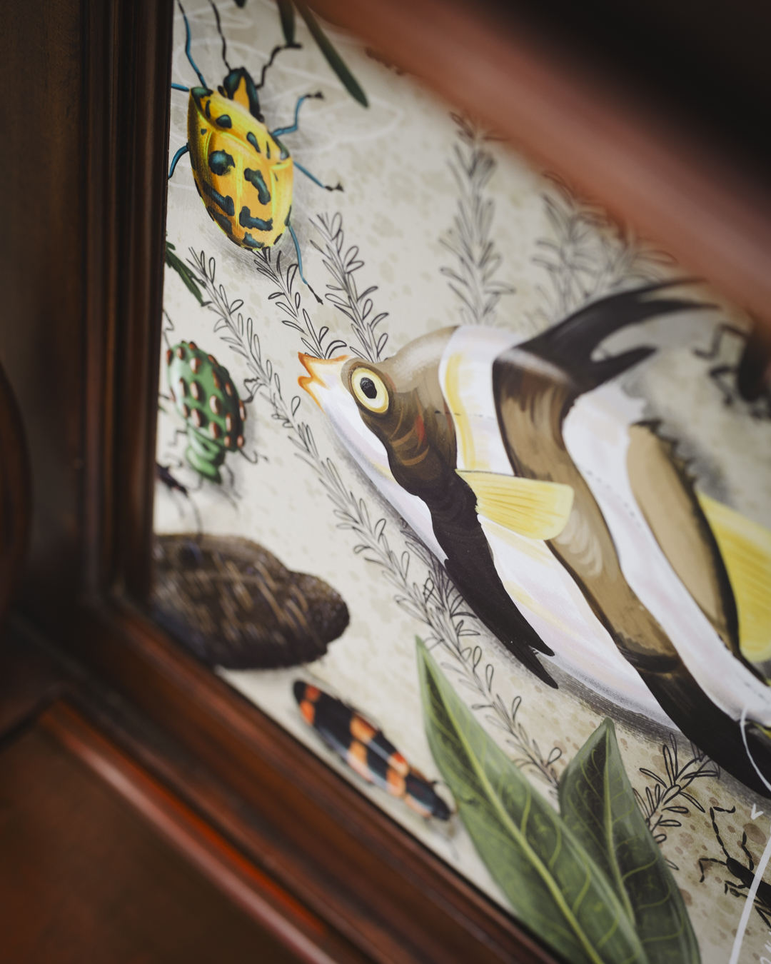 A close-up image of the Lincolnshire-inspired artwork (digitally illustrations of fish, insects and flora) decorating the Cabinet of Curiosities